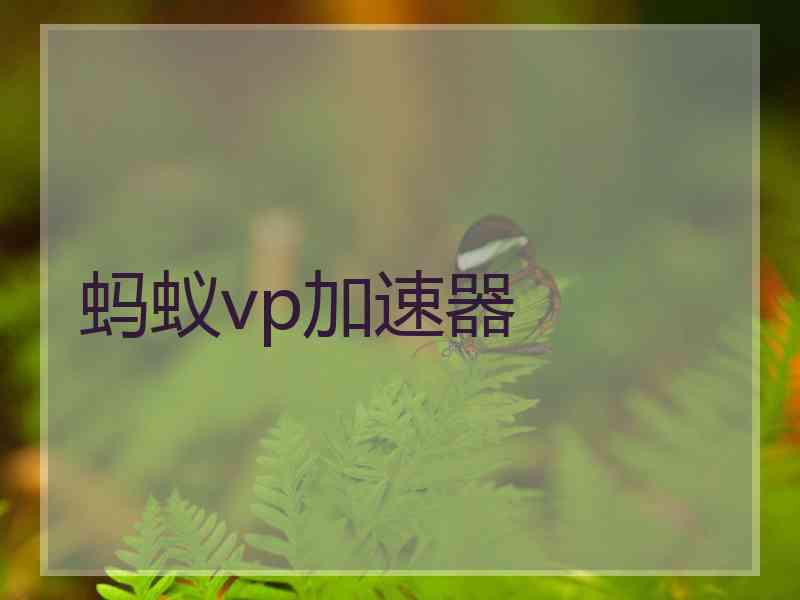 蚂蚁vp加速器