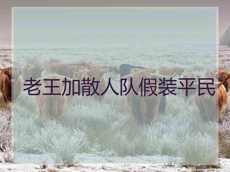 老王加散人队假装平民