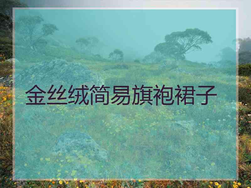 金丝绒简易旗袍裙子