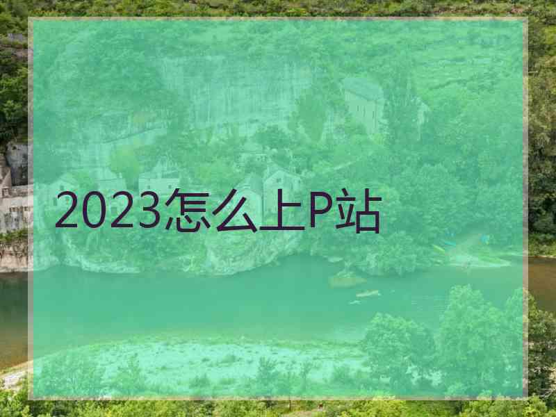 2023怎么上P站