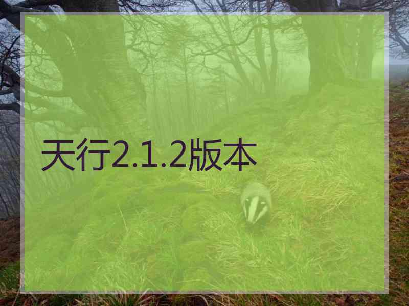 天行2.1.2版本