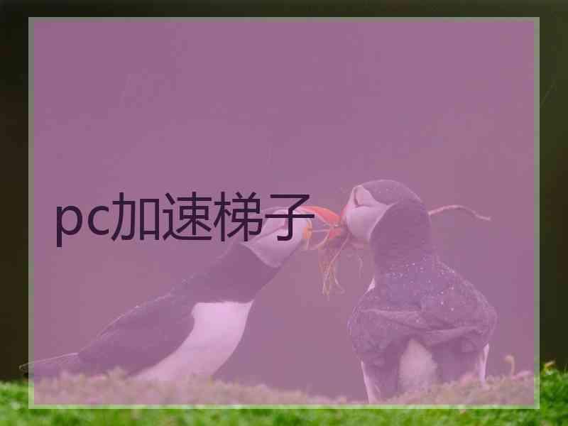 pc加速梯子