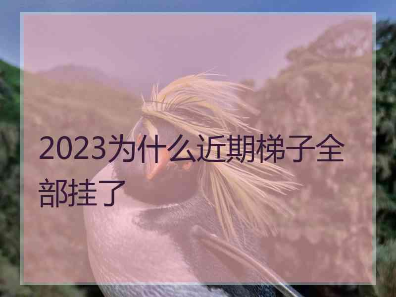2023为什么近期梯子全部挂了