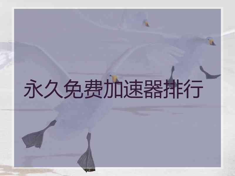 永久免费加速器排行