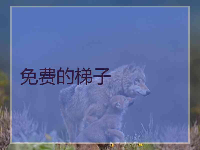 免费的梯子