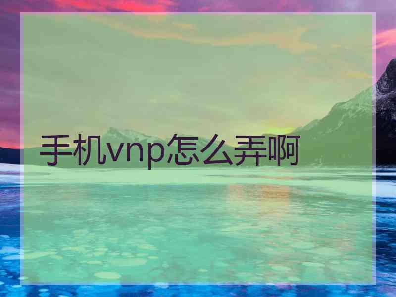 手机vnp怎么弄啊