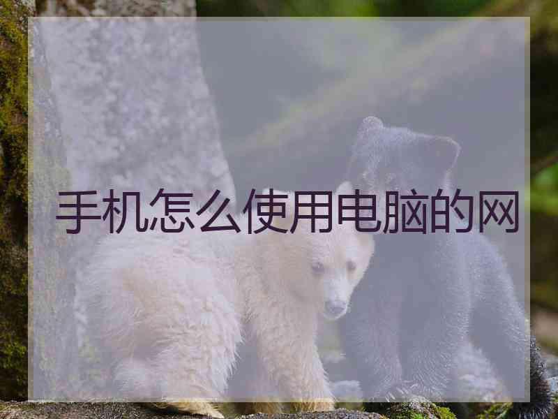 手机怎么使用电脑的网