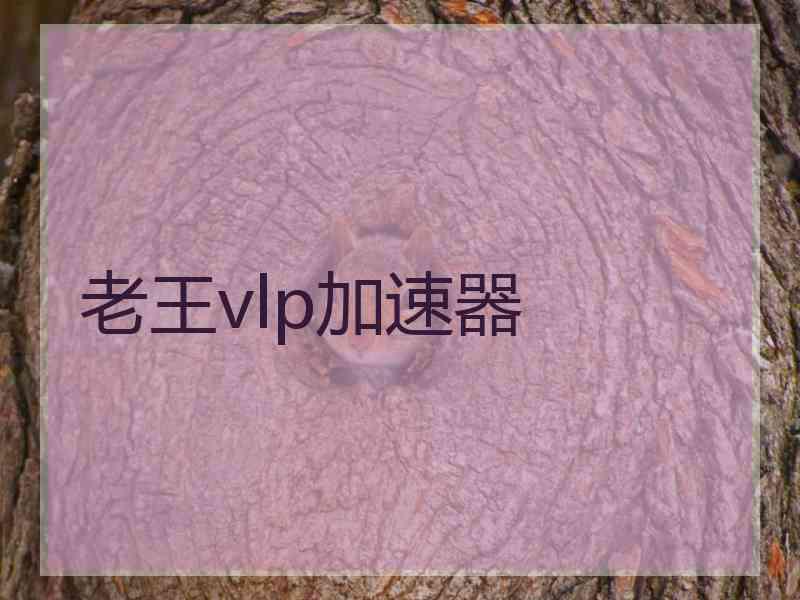 老王vlp加速器