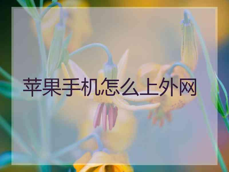 苹果手机怎么上外网