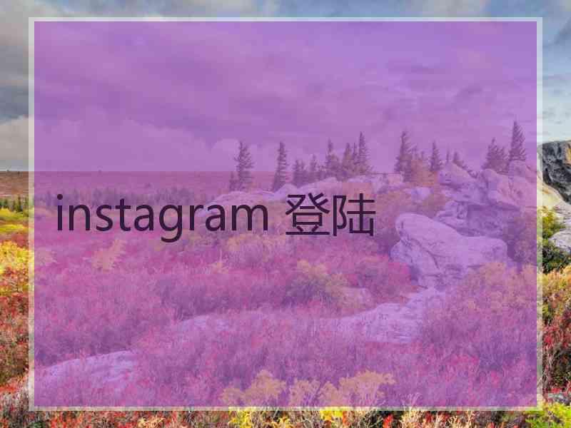 instagram 登陆