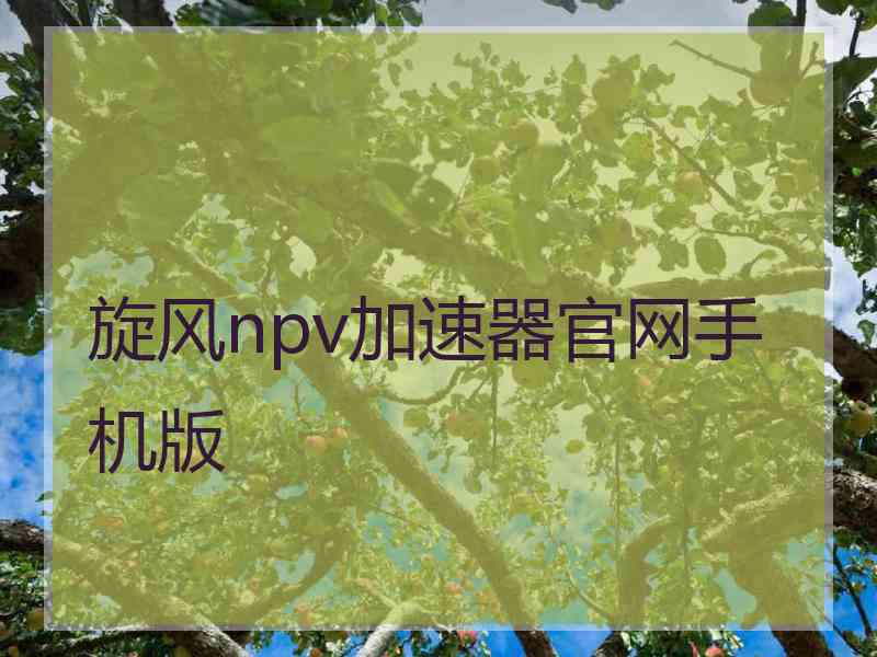 旋风npv加速器官网手机版