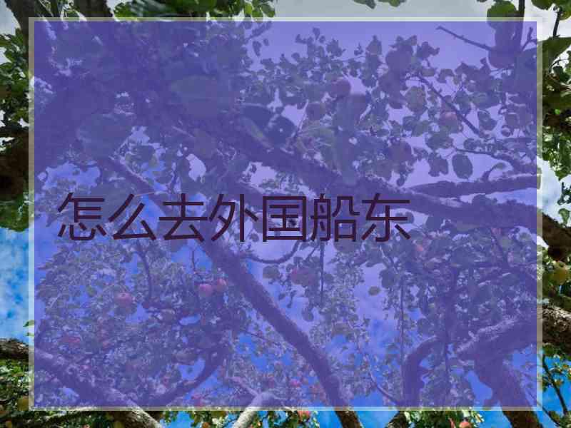 怎么去外国船东