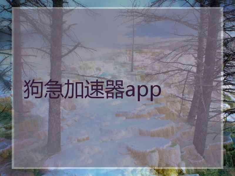狗急加速器app