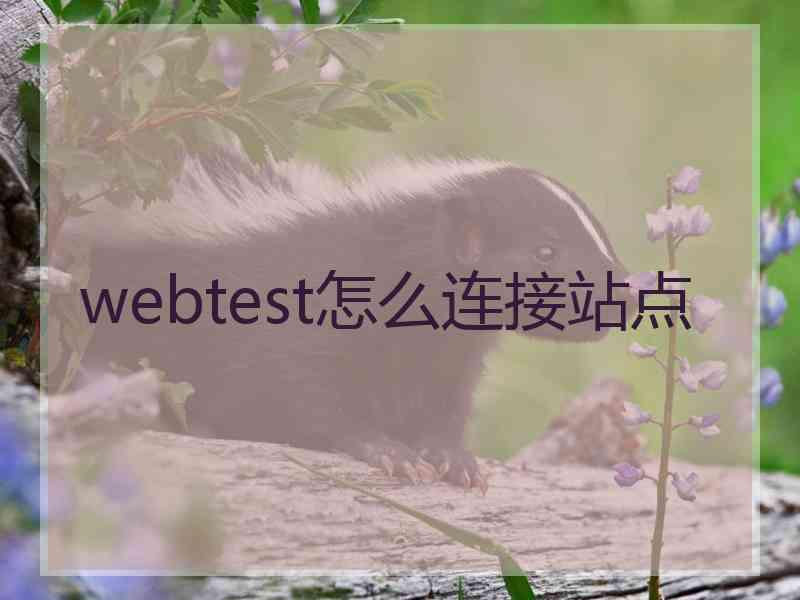 webtest怎么连接站点