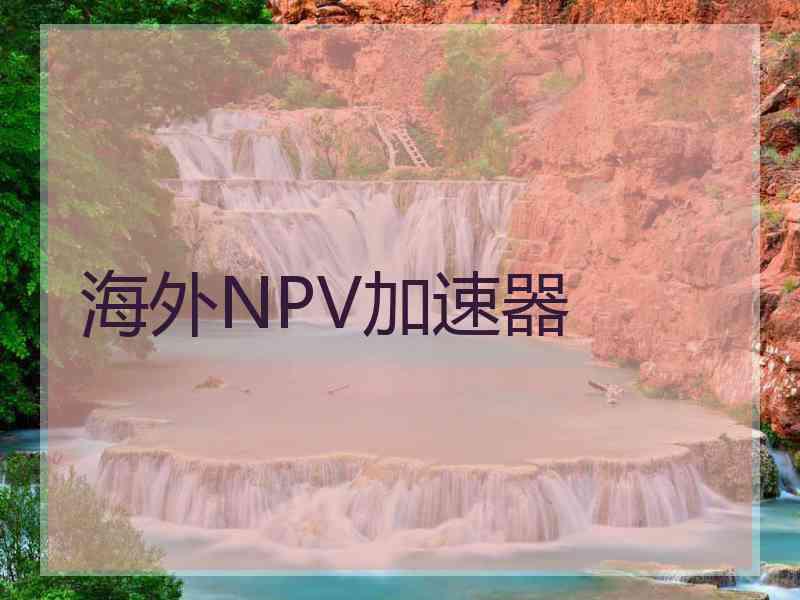 海外NPV加速器