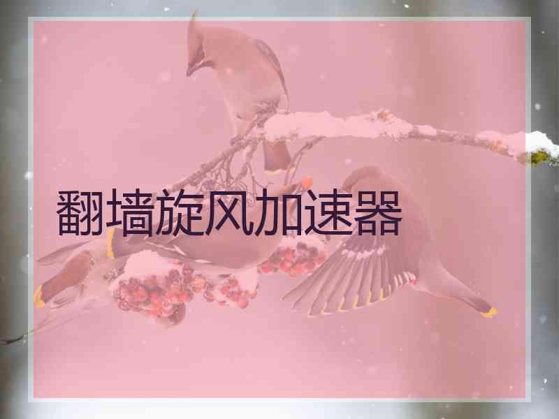翻墙旋风加速器