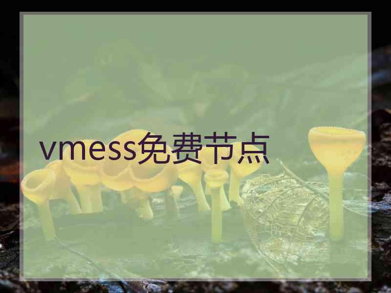 vmess免费节点