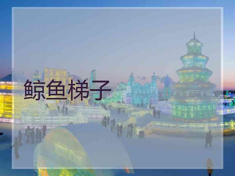 鲸鱼梯子
