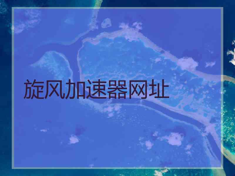 旋风加速器网址