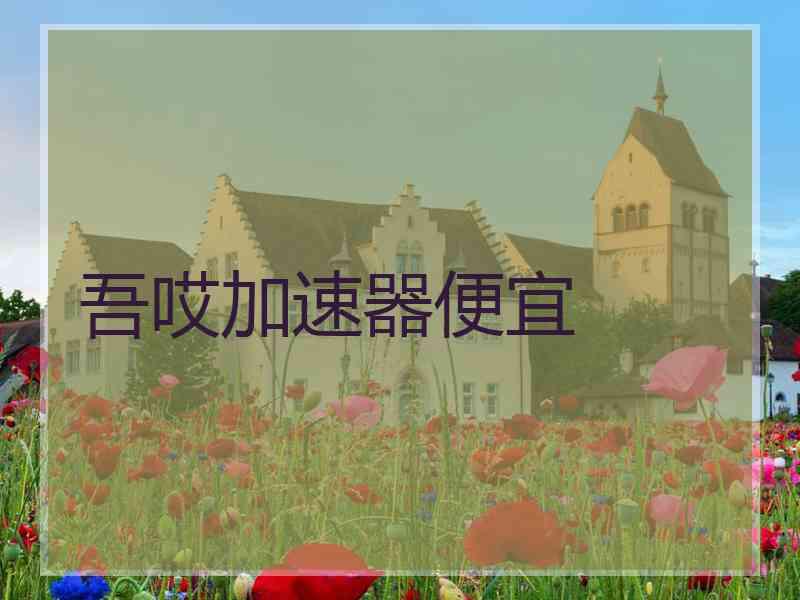 吾哎加速器便宜
