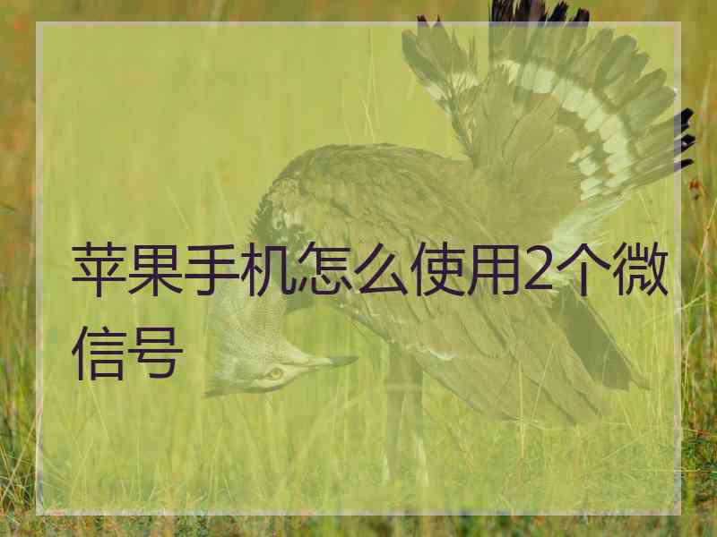 苹果手机怎么使用2个微信号