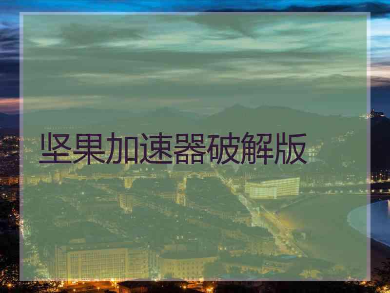 坚果加速器破解版