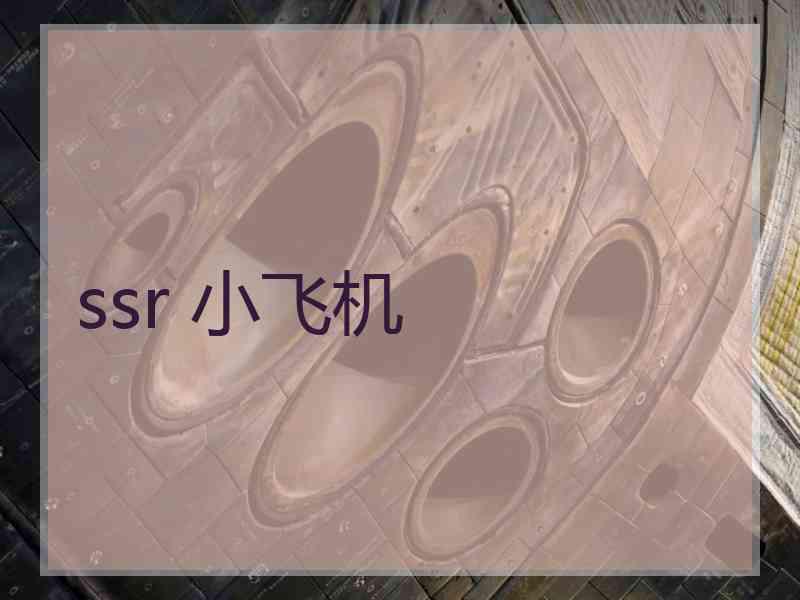 ssr 小飞机