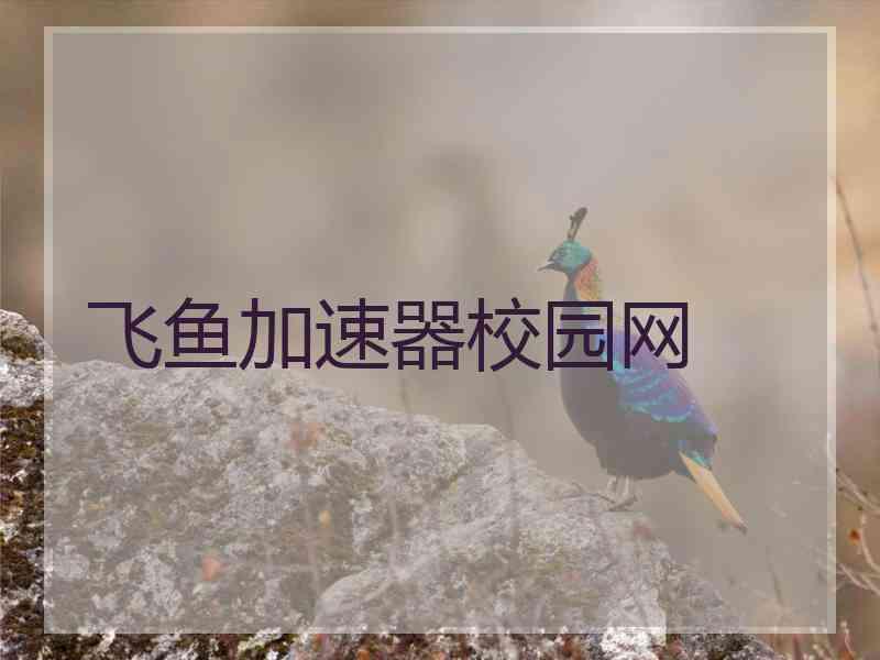 飞鱼加速器校园网