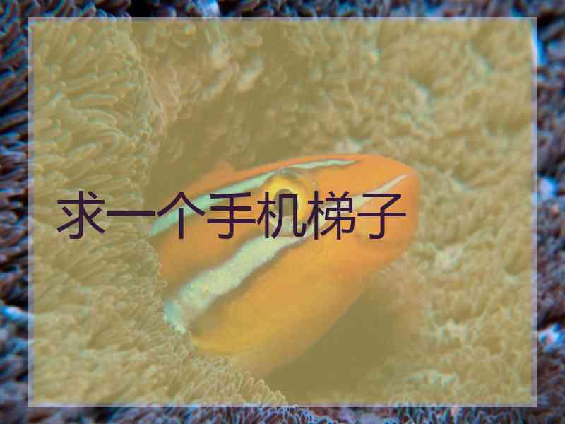 求一个手机梯子