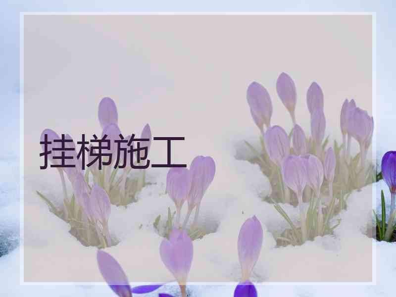 挂梯施工