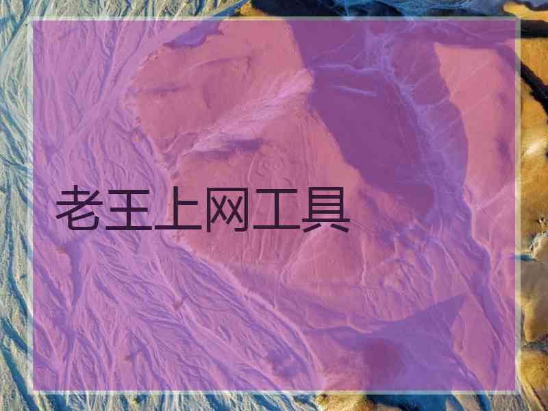老王上网工具