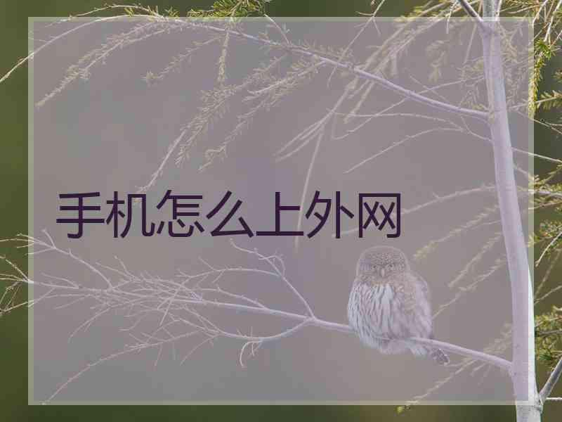手机怎么上外网