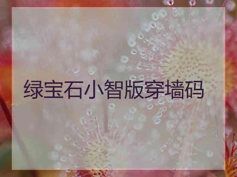 绿宝石小智版穿墙码