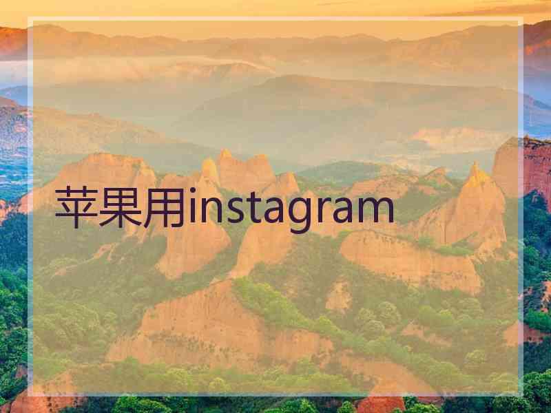 苹果用instagram