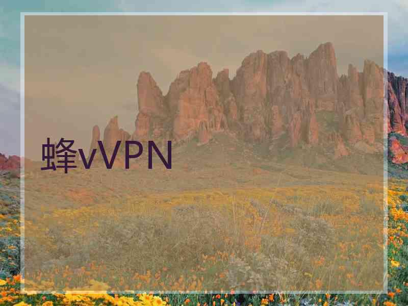 蜂vVPN