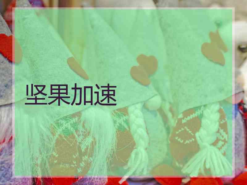 坚果加速