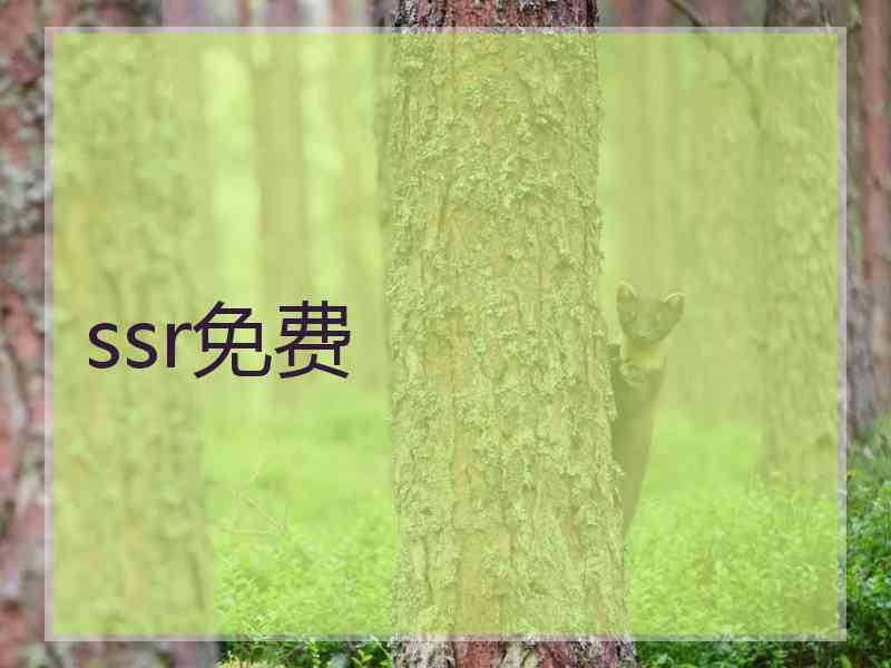 ssr免费