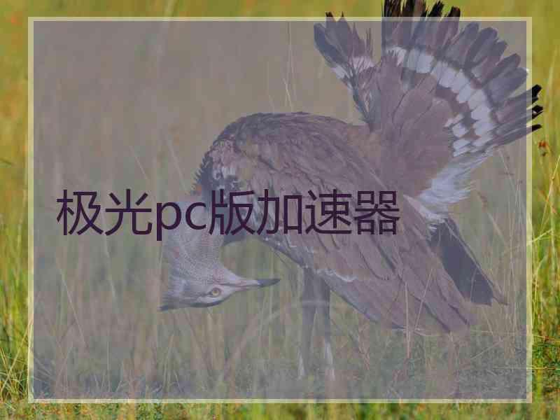 极光pc版加速器