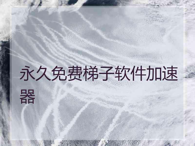 永久免费梯子软件加速器