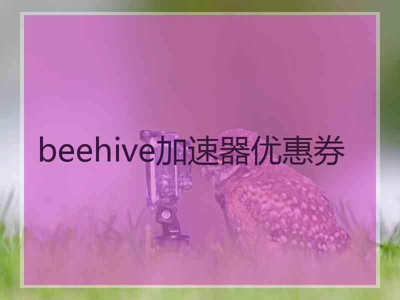 beehive加速器优惠券
