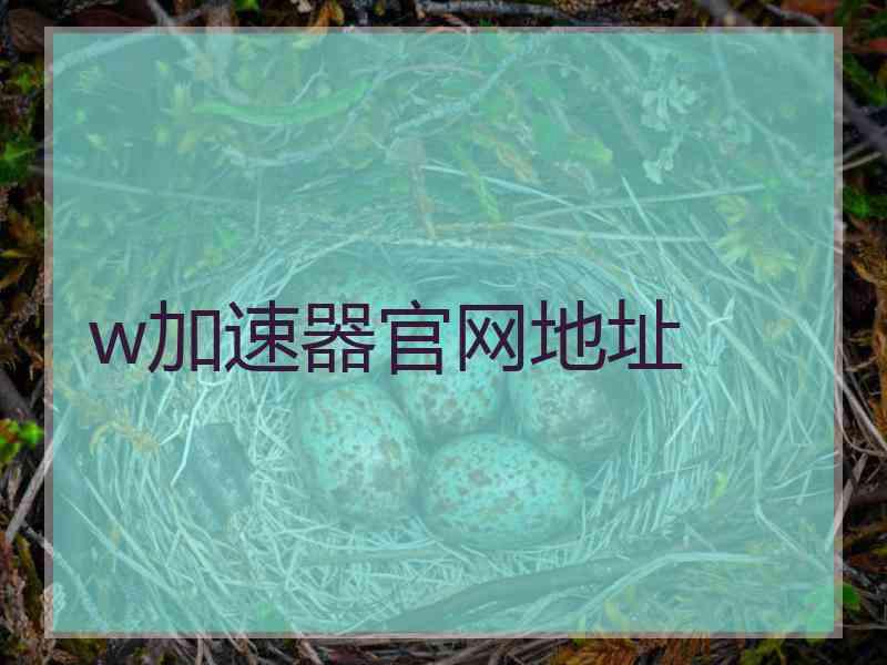 w加速器官网地址