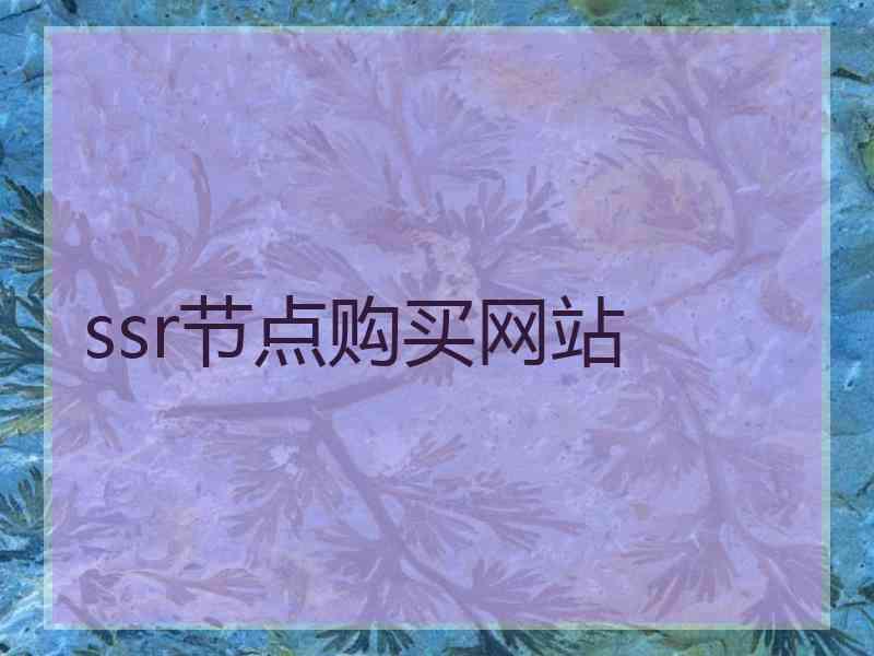 ssr节点购买网站