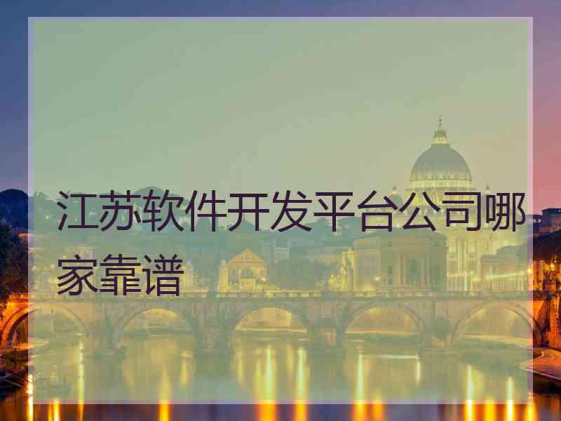 江苏软件开发平台公司哪家靠谱