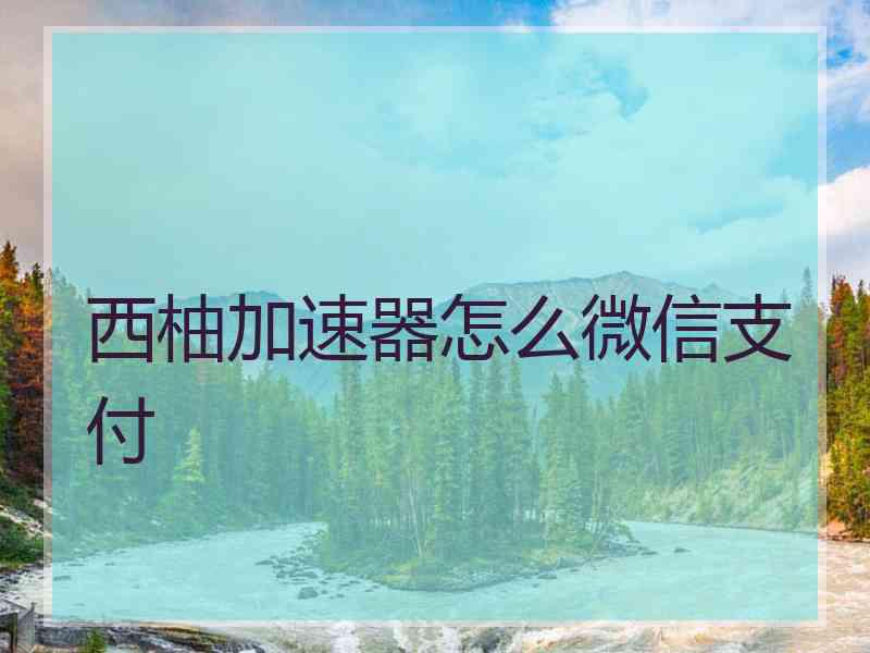 西柚加速器怎么微信支付