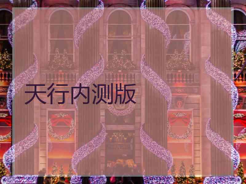 天行内测版