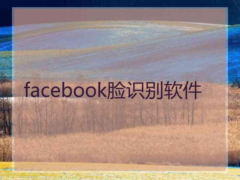 facebook脸识别软件