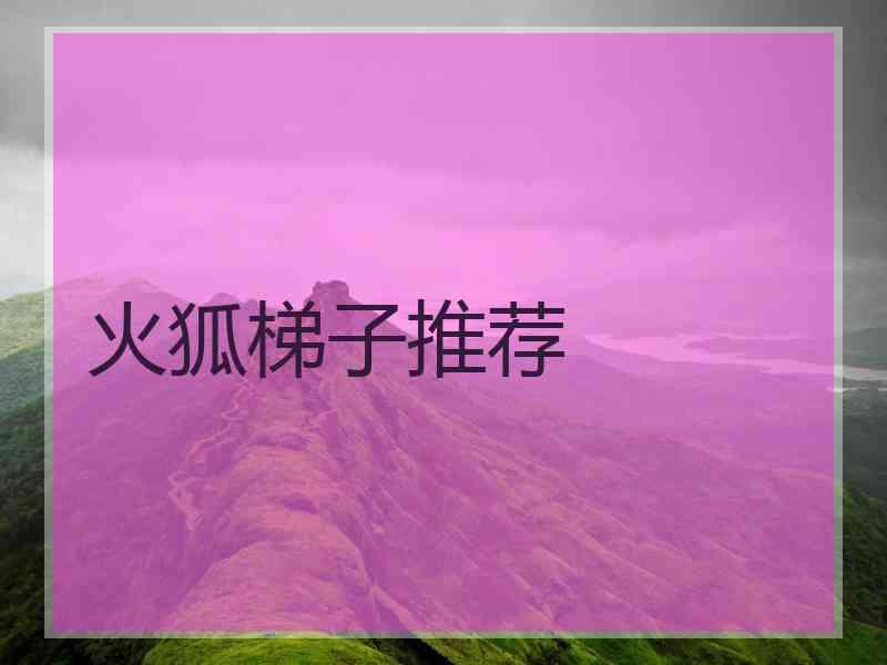 火狐梯子推荐