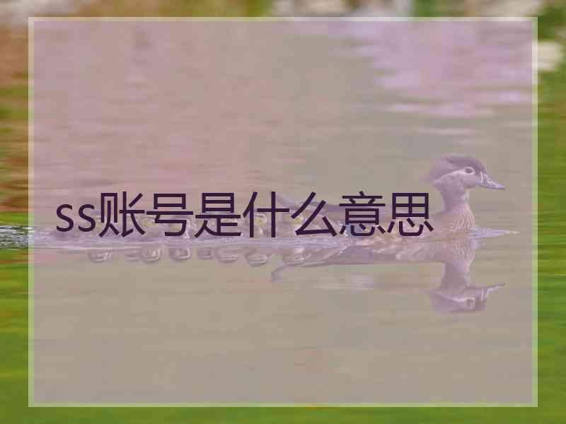 ss账号是什么意思