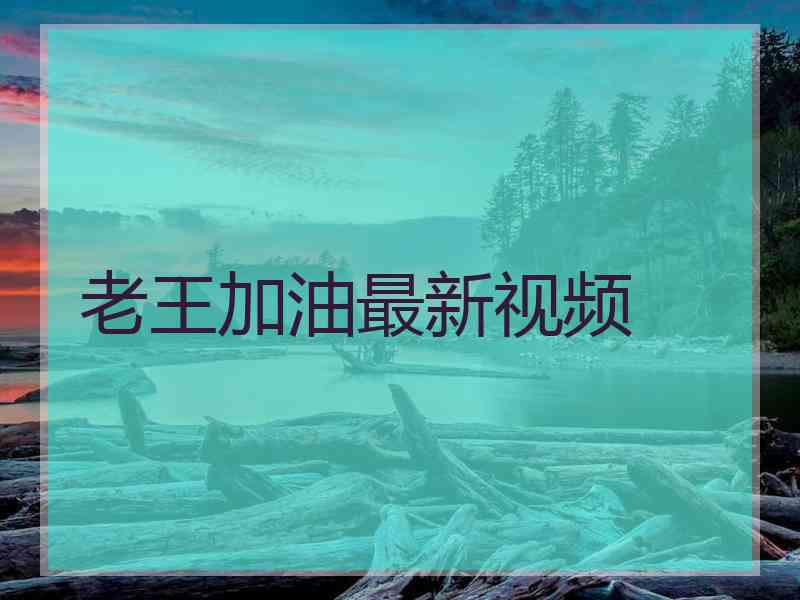 老王加油最新视频