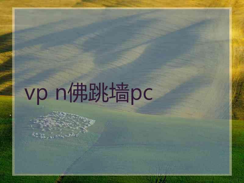 vp n佛跳墙pc